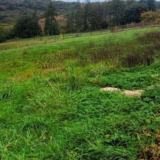  FAMICITY : Terrain | RULLY (71150) | 0 m2 | 77 000 € 