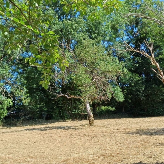  FAMICITY : House | MONTREVEL (39320) | 90 m2 | 115 000 € 