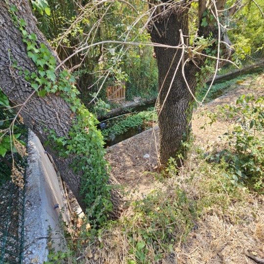  FAMICITY : Terrain | SAINT-BAUZILLE-DE-LA-SYLVE (34230) | 0 m2 | 129 000 € 