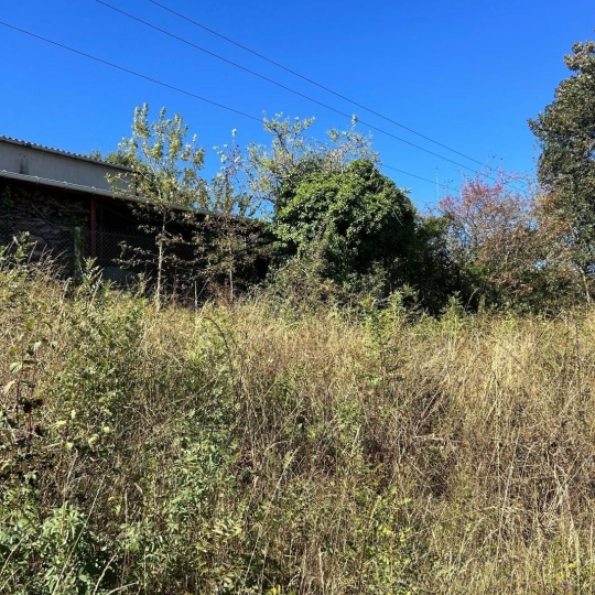  FAMICITY : Ground | NAVES (81710) | 0 m2 | 61 500 € 