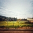  FAMICITY : Terrain | RULLY (71150) | 0 m2 | 77 000 € 
