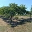  FAMICITY : Ground | SAINT-POMPAIN (79160) | 0 m2 | 27 000 € 