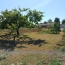  FAMICITY : Ground | SAINT-POMPAIN (79160) | 0 m2 | 27 000 € 