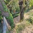  FAMICITY : Terrain | SAINT-BAUZILLE-DE-LA-SYLVE (34230) | 0 m2 | 129 000 € 