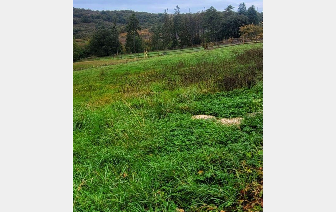 FAMICITY : Terrain | RULLY (71150) | 0 m2 | 77 000 € 