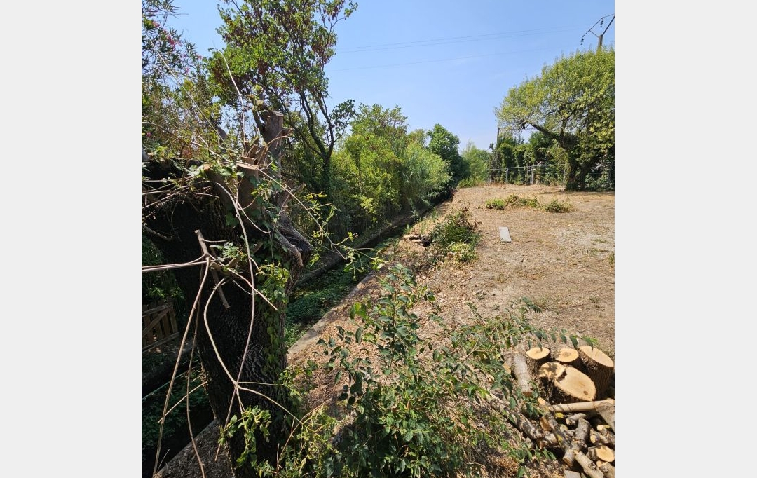 FAMICITY : Terrain | SAINT-BAUZILLE-DE-LA-SYLVE (34230) | 0 m2 | 129 000 € 