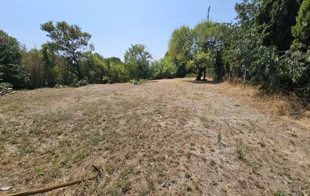 FAMICITY : Terrain | SAINT-BAUZILLE-DE-LA-SYLVE (34230) | 0 m2 | 129 000 € 
