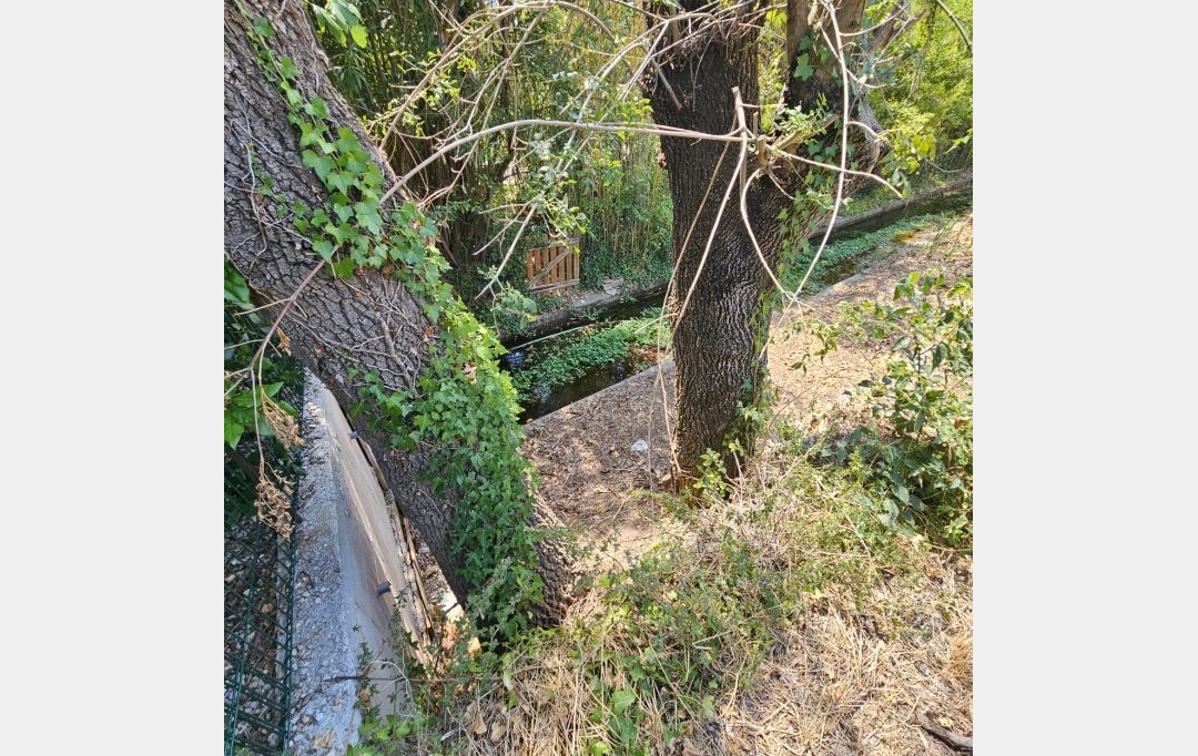 FAMICITY : Terrain | SAINT-BAUZILLE-DE-LA-SYLVE (34230) | 0 m2 | 129 000 € 