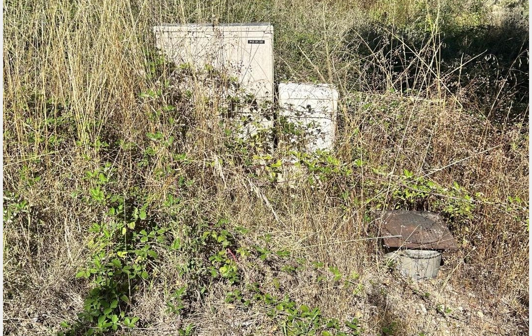 FAMICITY : Ground | NAVES (81710) | 0 m2 | 61 500 € 