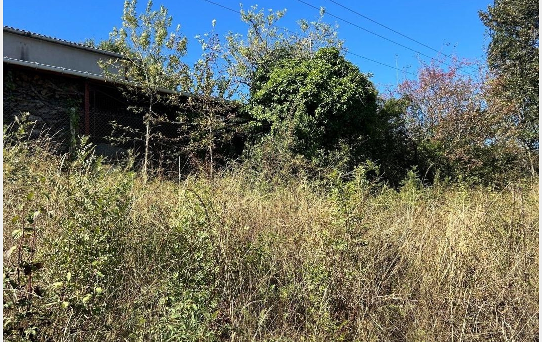FAMICITY : Ground | NAVES (81710) | 0 m2 | 61 500 € 