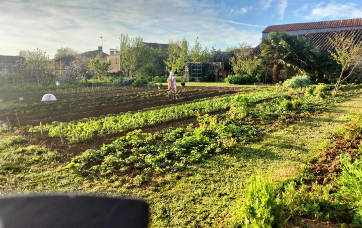  FAMICITY Terrain | SAINT-POMPAIN (79160) | 0 m2 | 27 000 € 